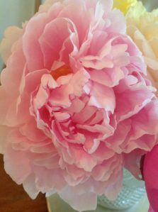 Peony - Secret Gardens and Cakes blog - Charis White