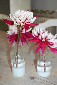 Crysanthemums. Karen Kennedy of Indigo Rye's cutting garden for Charis White blog