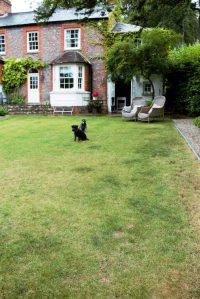 Karen Kennedy of Indigo Rye's house and miniature schnauzers for Charis White blog