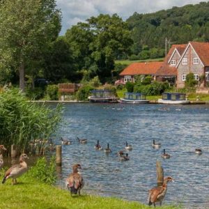 River Thames at Reading/Mapledurham. Image Thames River Cruise.co.uk/Pinterest: Charis White blog: Jelly