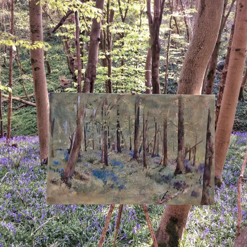 Flora bluebell forest
