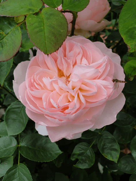 1add1216-50c3-453c-956c-ee426862a3de