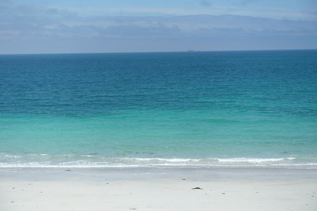 dsc04744 (copy)8251578237186585683..jpg